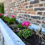 Le - Maison De 6 A 8 Personnes - La Ferme Du Try *