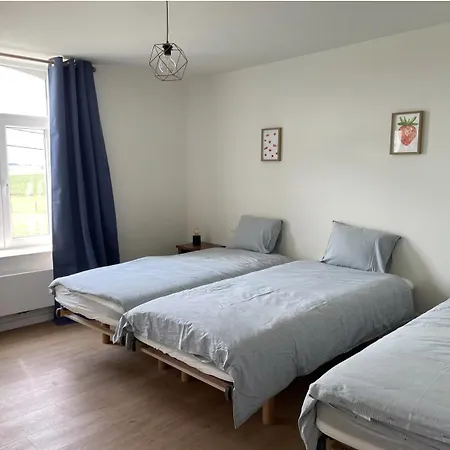 בית נופש Le - Maison De 6 A 8 Personnes - La Ferme Du Try Frasnes-lez-Gosselies