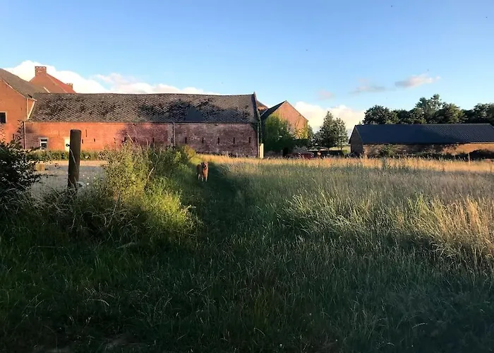 Le - Maison De 6 A 8 Personnes - La Ferme Du Try Frasnes-lez-Gosselies