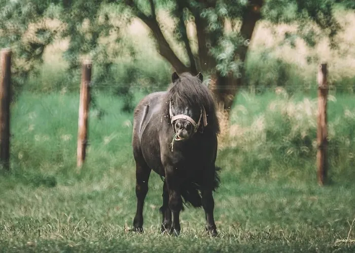 Le - Maison De 6 A 8 Personnes - La Ferme Du Try בית נופש Frasnes-lez-Gosselies