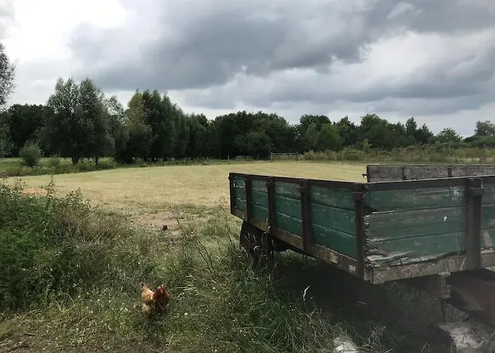 Le - Maison De 6 A 8 Personnes - La Ferme Du Try * Frasnes-lez-Gosselies