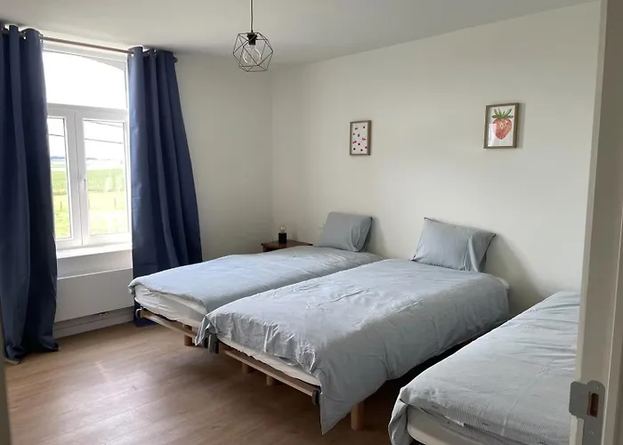 בית נופש Le - Maison De 6 A 8 Personnes - La Ferme Du Try Frasnes-lez-Gosselies